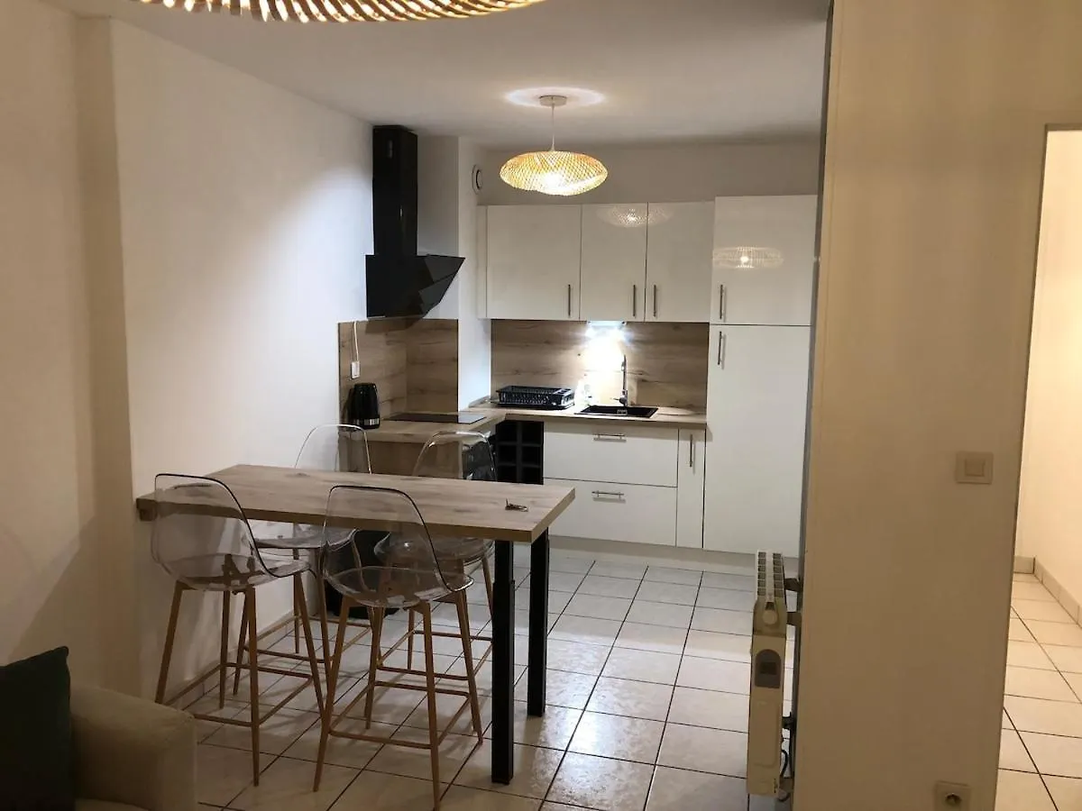 Logement Neuf Albertville Centre Ville France